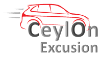 Logo for ceylonexcusion travel agent sri lanka